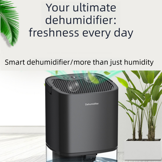 Black Mini Quiet Dehumidifier for Bedroom - 1000ml Water Tank Portable Home Moisture Absorber with Air Purification Filter, RGB Night Light and Auto Shut-Off