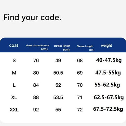 M size Women's 2-Piece Running Yoga Set - Blue Colorblock Zip Jacket and Blue Faux Two-Layer Leggings, Slim Fit High Stretch Gym Activewear for Fitness and Training
