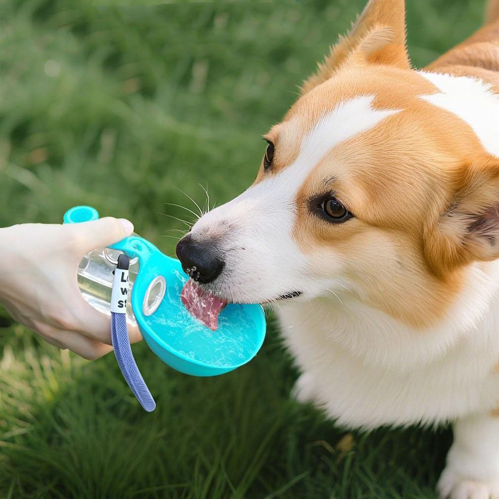Blue Portable Pet Water Bottle with Foldable Drinking Bowl, 285ml Travel Dog Water Dispenser for Walking Hiking and Outdoor Adventures