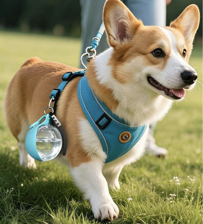 Blue Portable Pet Water Bottle with Foldable Drinking Bowl, 285ml Travel Dog Water Dispenser for Walking Hiking and Outdoor Adventures