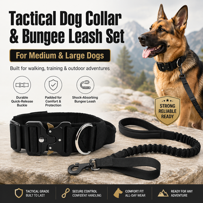 Black Tactical Dog Collar and Bungee Lead Set (M size) - Padded Quick Release Collar with Control Handle and Shock Absorbing Leash for Medium and Large Dogs