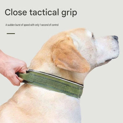 Blue Tactical Dog Collar for Large Dogs (L size)- Wide Padded Nylon Collar with Quick Release Metal Buckle, Control Handle and D-Ring for Walking and Training