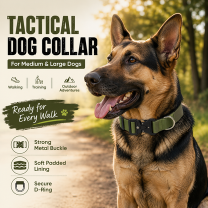 Green Tactical Dog Collar for Large Dogs (M size)- Wide Padded Nylon Collar with Quick Release Metal Buckle, Control Handle and D-Ring for Walking and Training