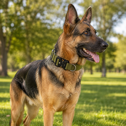 Green Tactical Dog Collar for Large Dogs (M size)- Wide Padded Nylon Collar with Quick Release Metal Buckle, Control Handle and D-Ring for Walking and Training