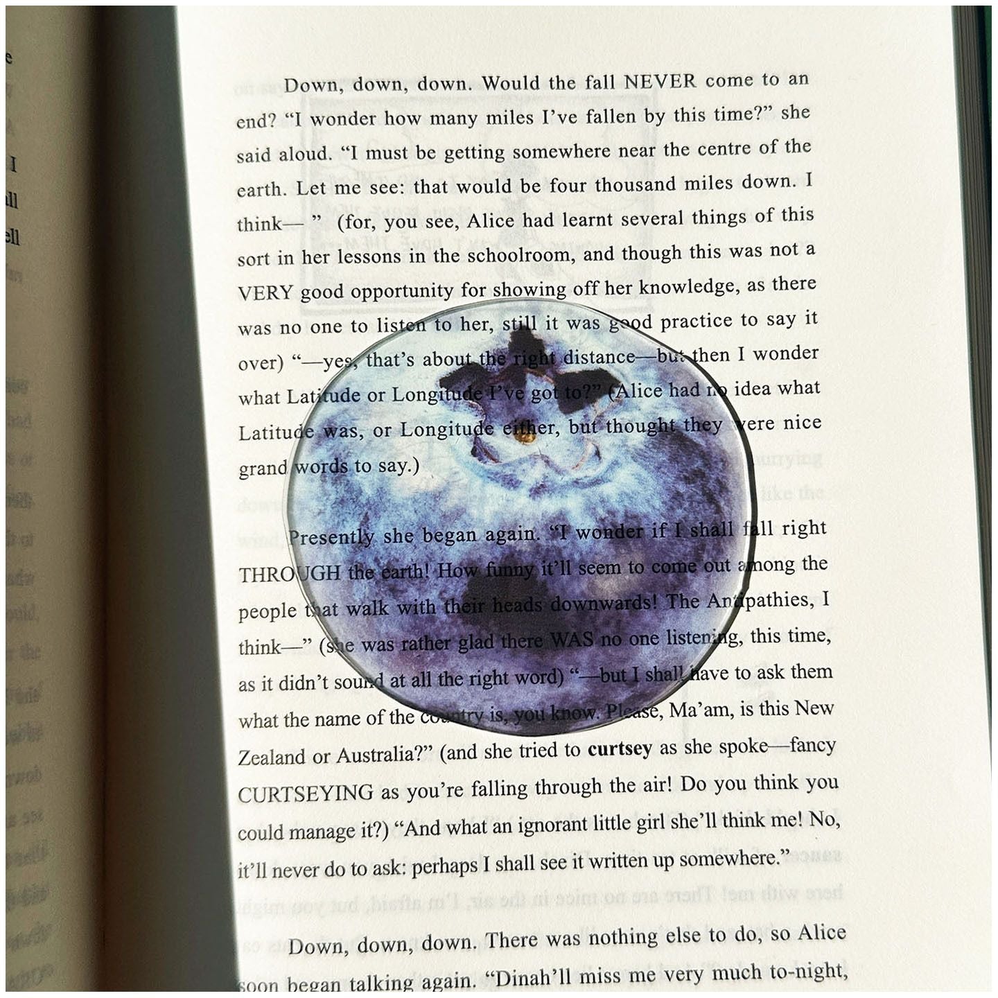 2PCS Cute Blueberries Acrylic Bookmarks Fruit Transparent Reading Bookmarks Aesthetic Page Markers for Book Lovers Students Teachers Reading Gifts