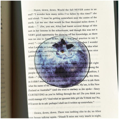 2PCS Cute Blueberries Acrylic Bookmarks Fruit Transparent Reading Bookmarks Aesthetic Page Markers for Book Lovers Students Teachers Reading Gifts