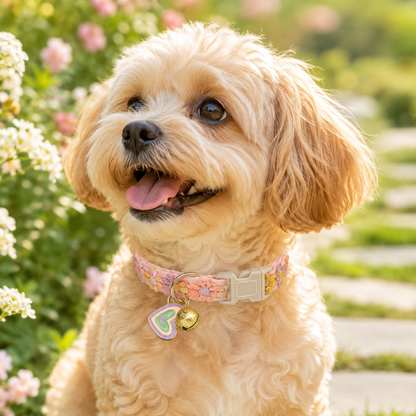 Floral Lace Pet Collar with Bell and Charm (Heart-shaped design)- Adjustable Polyester Cat Collar for Small Dogs and Cats, Colourful Embroidered Neck Collar, Cute Puppy Kitten Accessory, 18-30cm