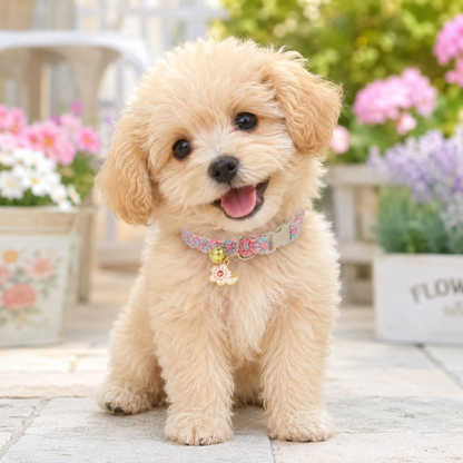 Floral Lace Pet Collar with Bell and Charm (Cherry blossom design)- Adjustable Polyester Cat Collar for Small Dogs and Cats, Colourful Embroidered Neck Collar, Cute Puppy Kitten Accessory, 18-30cm