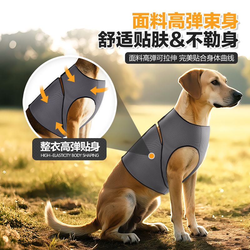 Blue S Size Dog Anxiety Relief Set - Breathable Mesh Calming Vest and Noise Reducing Earmuffs for Dogs, Thunderstorm and Fireworks Stress Support